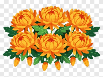 Colorful Chrysanthemum Flower Bouquet PNG