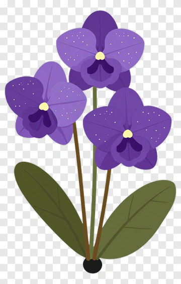 Purple Orchid Flower Arrangement PNG