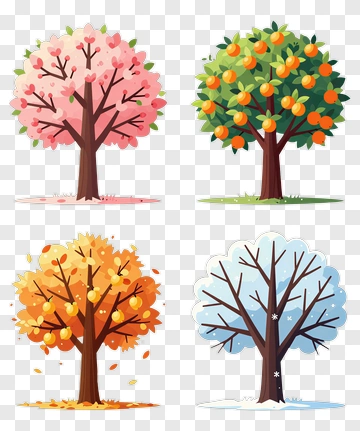 Colorful Seasonal Trees PNG