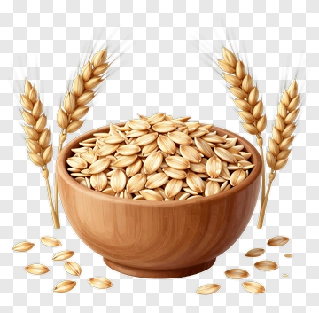 Bowl Of Wheat Grains With Wheat Stalks PNG