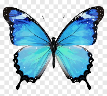 Blue Butterfly PNG