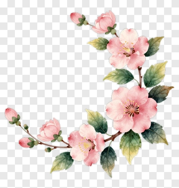 Watercolor Cherry Blossom Branch PNG
