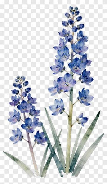Watercolor Blue Flower Arrangement PNG