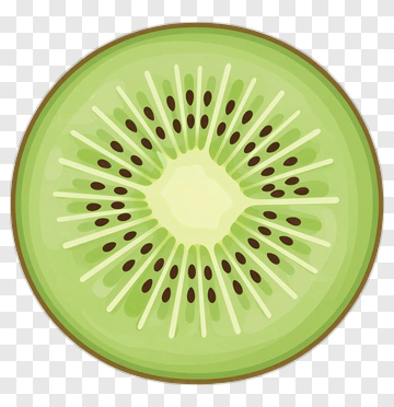 Sliced Kiwi Fruit PNG