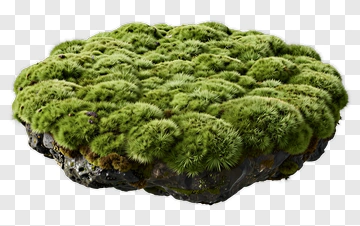 Green Mossy Rock Formation PNG