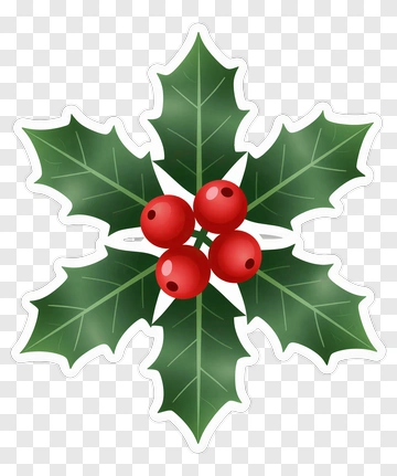 Holly Leaf With Berries PNG