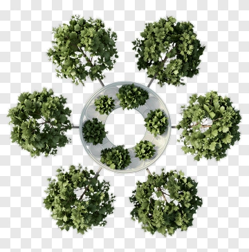 Circle Of Green Trees PNG