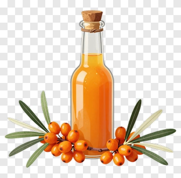 Sea Buckthorn Oil Bottle With Berries And Leaves PNG