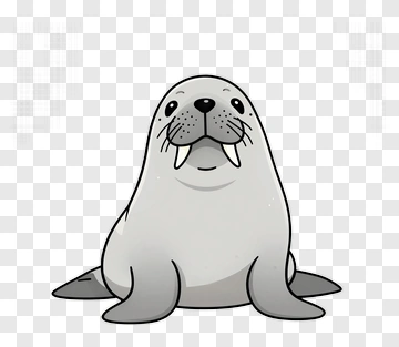 Cartoon Seal PNG