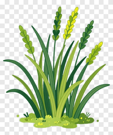 Colorful Grass With Green And Yellow Blades PNG
