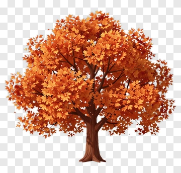 Colorful Tree With Autumn Leaves PNG