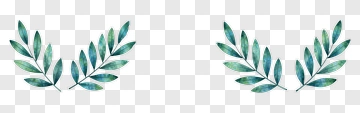 Watercolor Green Leaves Arrangement PNG