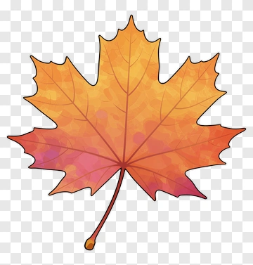 Colorful Maple Leaf PNG
