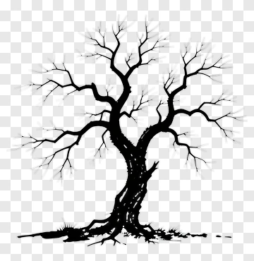 Silhouette Tree With Bare Branches PNG