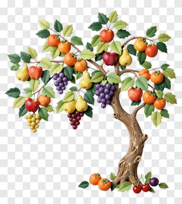 Colorful Fruit Tree With Various Fruits PNG