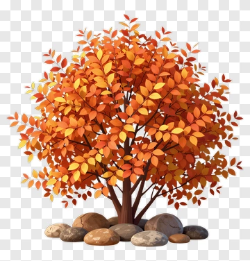 Colorful Tree With Autumn Leaves PNG