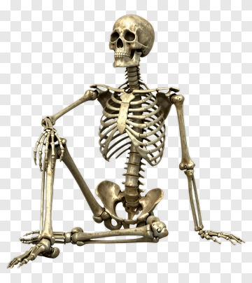 Realistic Skeleton Sitting PNG