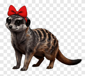 Cartoon Meerkat With A Red Bow PNG