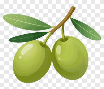 Green Olives With Leaves PNG