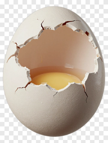 Cracked Egg With Yellow Yolk PNG