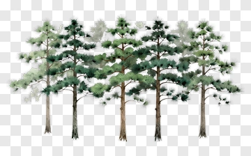 Felt Pine Trees PNG