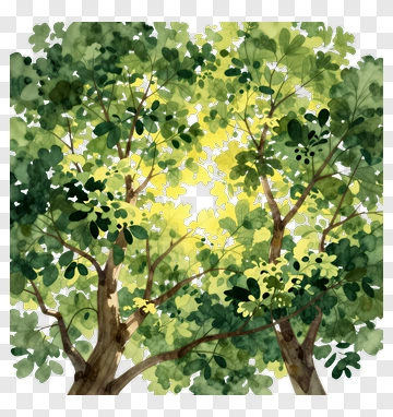 Watercolor Trees With Green Foliage PNG