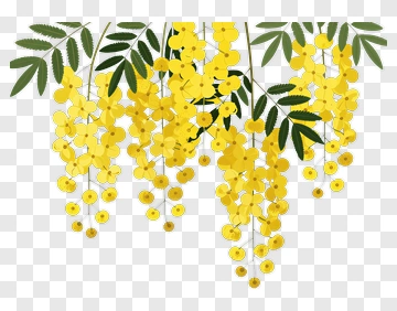 Yellow Floral Wreath With Green Leaves PNG