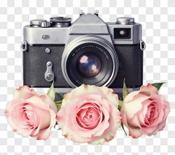 Vintage Camera Surrounded By Pink Roses PNG