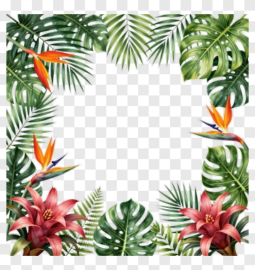 Tropical Floral Frame With Colorful Leaves And Flowers PNG