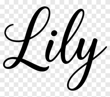 Lily Name In Elegant Script PNG