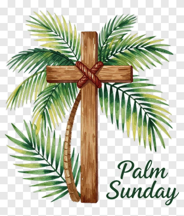 Palm Sunday Cross With Palm Leaves PNG
