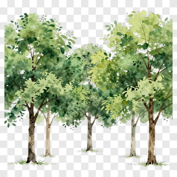 Watercolor Trees In A Lush Green Landscape PNG