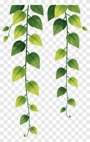 Green Leaf Vines PNG