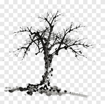 Black And White Tree PNG