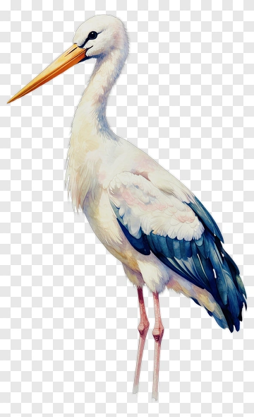 Stork With Blue And White Feathers PNG