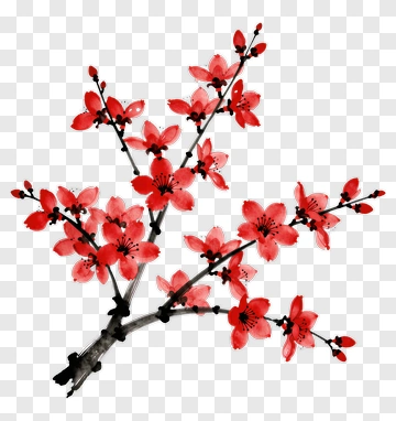 Cherry Blossom Branch With Red Flowers PNG