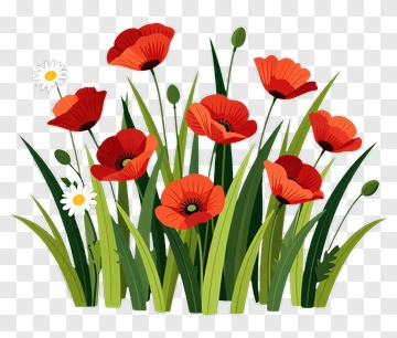 Colorful Poppy Flower Bouquet PNG