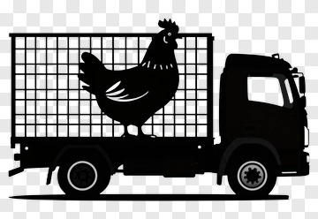 Truck Carrying A Chicken PNG