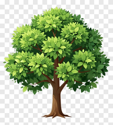 Colorful Tree PNG