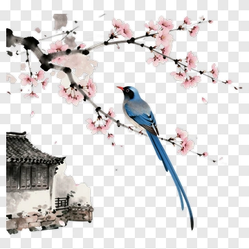 Blue Bird Sitting On Cherry Blossom Branch PNG
