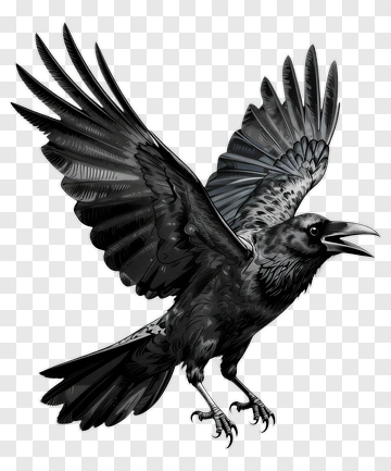 Black Raven With Outstretched Wings PNG