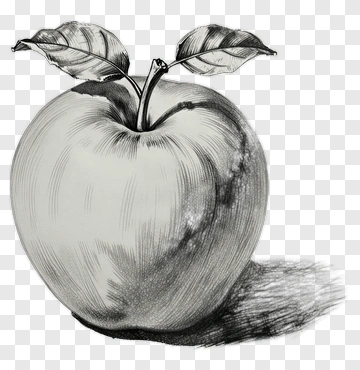 Black And White Apple With Leaves PNG