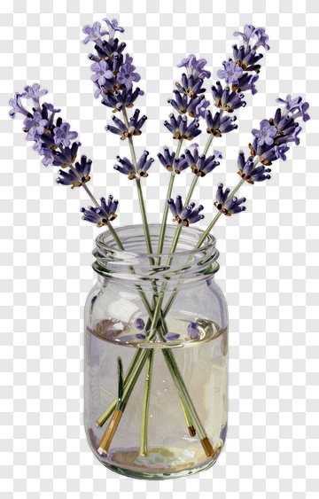 Lavender Flowers In A Jar PNG