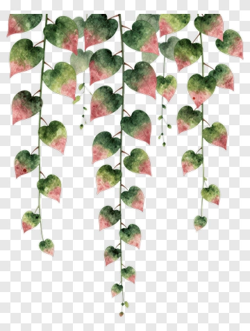 Colorful Heart-Shaped Leaves PNG