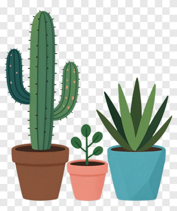 Cactus And Succulent Plants In Pots PNG