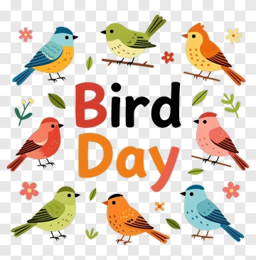 Colorful Birds For Bird Day Celebration PNG