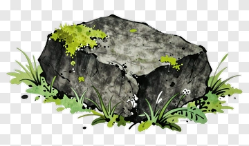 Rock Surrounded By Grass And Moss PNG