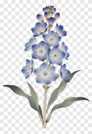 Blue Flower Bouquet PNG