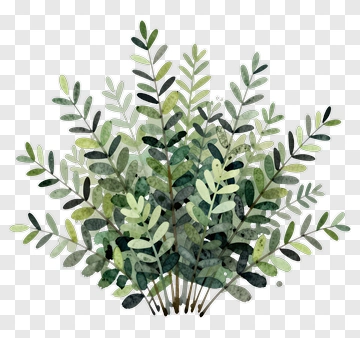 Watercolor Greenery Arrangement PNG