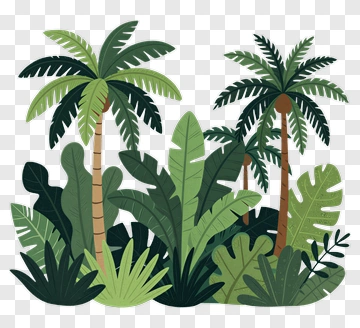 Tropical Plants And Palm Trees PNG